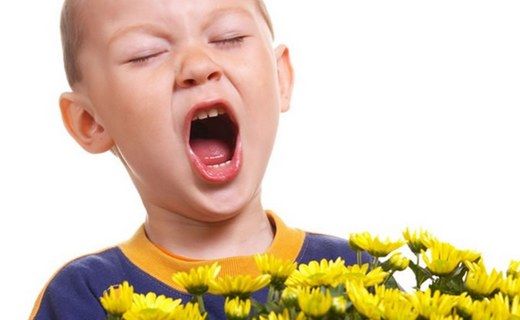 Alerji Hapşırma Burun Akıntısı Belirtileri ve Tedavisi